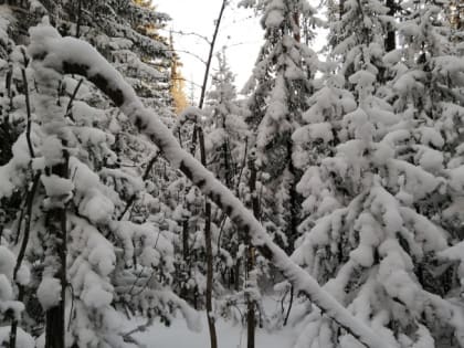 Спасатели в Челябинской области вызволили из снежного плена шестерых рыбаков