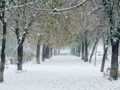 Магнитогорцев ждет теплое и снежное начало новой рабочей недели
