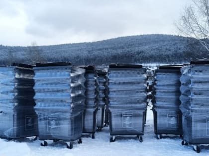 В Челябинской области в этом году установят более 6 тысяч новых контейнеров для сбора отходов