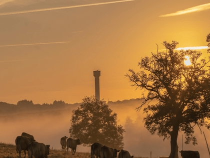 Поздравление с Днем работника сельского хозяйства