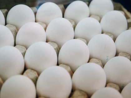 Цены на&nbsp;яйца стабилизируются после ввоза иностранных