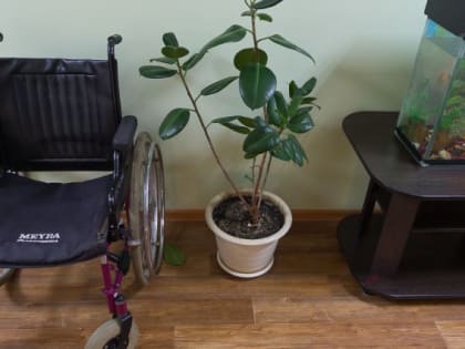 Под Челябинском закрыли частный дом престарелых из-за ужасных условий