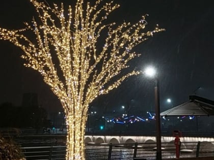 Светящиеся деревья украсят Челябинск к Новому году