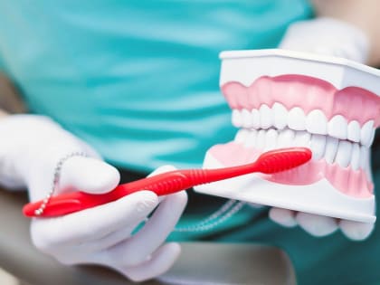 Врачи расскажут, как правильно заботиться о зубах