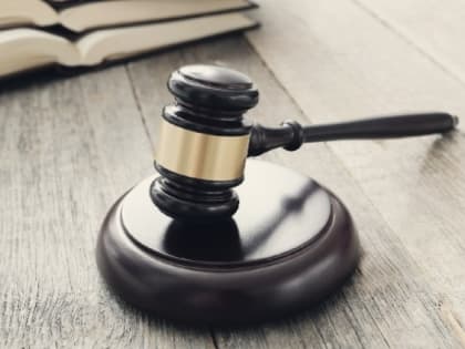 Светлана и Игорь Барковы заключены под стражу в зале суда