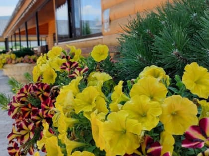 Синоптики рассказали, на сколько в Челябинской области задержится 40-градусная жара