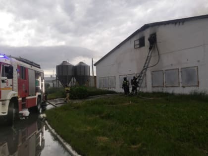 Под Челябинском сгорело здание местной птицефабрики