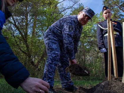 В Челябинске высадили 45 дубов в память о погибших в Великую Отечественную войну