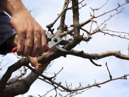 Продолжаются работы по расчистке