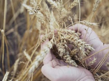 Аграрии Южного Урала форсируют подготовку к посевной