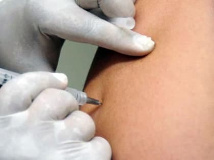 Гехт: В этом году в Роспотребнадзоре планируют привить от гриппа около 60% челябинцев