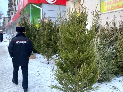 В Тракторозаводском районе проходят рейды по выявлению незаконных елочных ярмарок