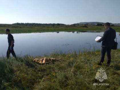 В Челябинской области утонули два 12-летних мальчика