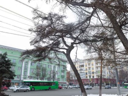 Начало рабочей недели в Челябинске будет теплым и без осадков