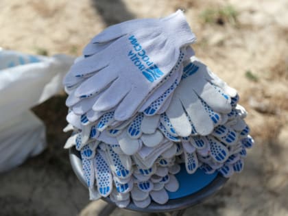 В Челябинске обсудили подготовку к весенним субботникам