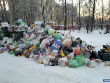 Ситуация с вывозом мусора в Миассе улучшится, когда на улице потеплеет