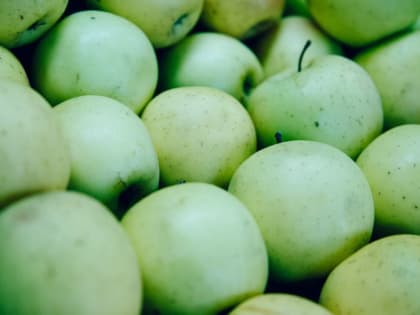 «Омолаживающая еда»: врач рассказала, какие продукты полезны для кожи