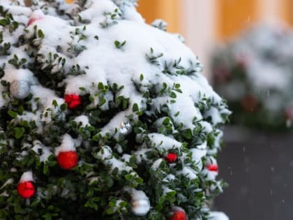 В Челябинск придет резкое похолодание