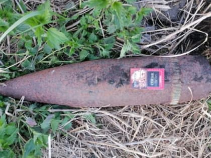 В Красноармейском районе уничтожили опасный боеприпас