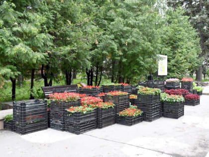 Скоро в Озерске прибавится ярких красок