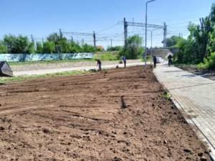 Клумбы готовы к высадке газона