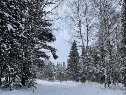 Отчет о ведении ГЛПМ написан