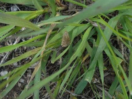 У неё отменный аппетит