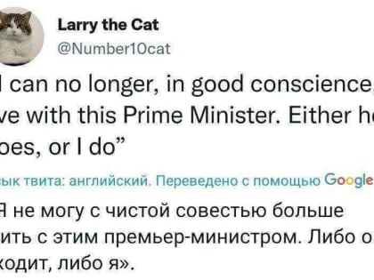 «Либо он уходит, либо я»: кот из резиденции британского премьера требует отставки Джонсона