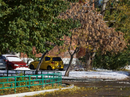 В Челябинской области задержались мокрый снег и гололедица