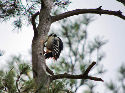 Анонсы событий и мероприятий на 21 декабря