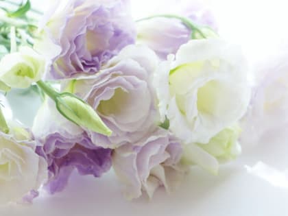 Сотрудники и родители ребят МБДОУ «ДС №458 г. Челябинска» выразили благодарность Главе Калининского района