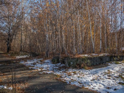 Возвращение к прежним видам: озеленение или борьба с растительностью в Озёрске?