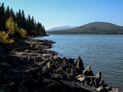 Что такое смертельно опасная «травма ныряльщика» и как её избежать, рассказал нейрохирург