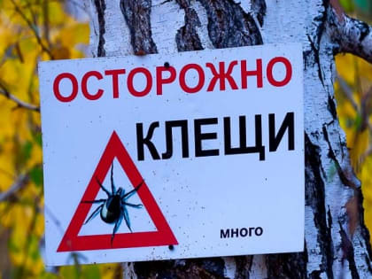 Более пятидесяти южноуральцев пострадали от укусов клещей