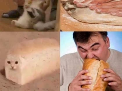 Коротюльки. Юмор на выходные