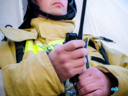 В Челябинске огнеборцы спасли стрижа