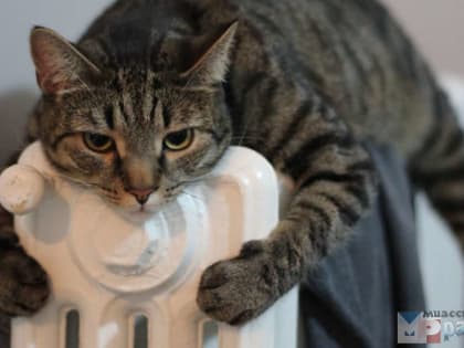 Горячая линия по проблемам с отоплением запущена в Челябинской области