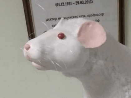 В челябинском медвузе на 3D-принтере распечатали памятник лабораторной крысе