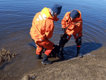 Под Магнитогорском обнаружили труп мужчины
