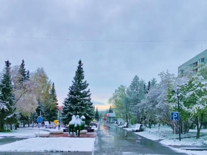 Нам не приснилось