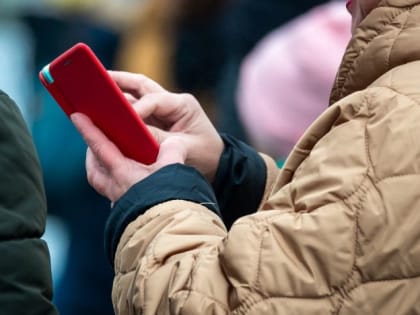 Южноуральцы впервые смогут выбирать депутатов дистанционно