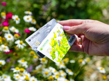 В Челябинске за три года выросла на 5 процентных пунктов доля тех, кто копит деньги