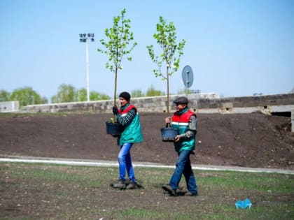 Жителей Магнитогорска приглашают поучаствовать в высадке саженцев вокруг города