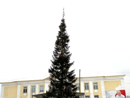 В Магнитке на центральной площади установили новогоднюю елку