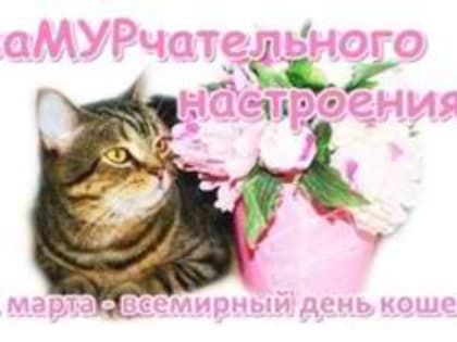 КНИЖНЫЕ ЭКСПОЗИЦИИ  МАРТ