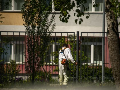 Городские будни, или Забота о ближнем по-озёрски