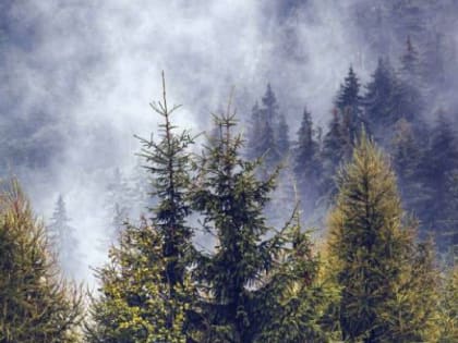 Спасатели пришли на помощь участнику мультимарафона на Таганае