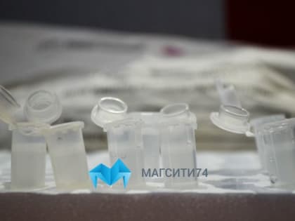 В Магнитогорске 17 новых случаев заболевания COVID-19