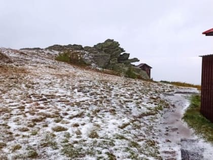 В Челябинской области выпал первый снег