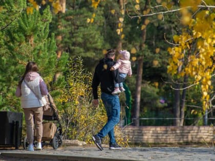 Ежемесячные выплаты из материнского капитала в Челябинской области